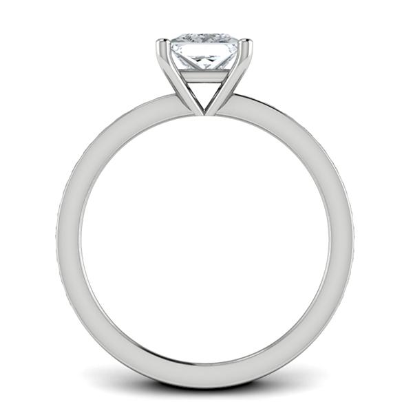 Alaska in Platinum — view 2
