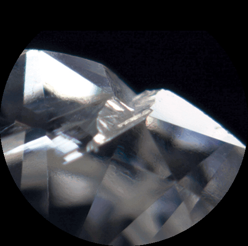 Cavity inclusion under magnification