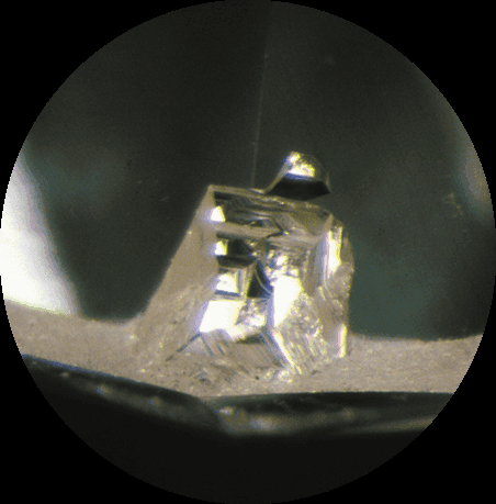 Crystal inclusion under magnification