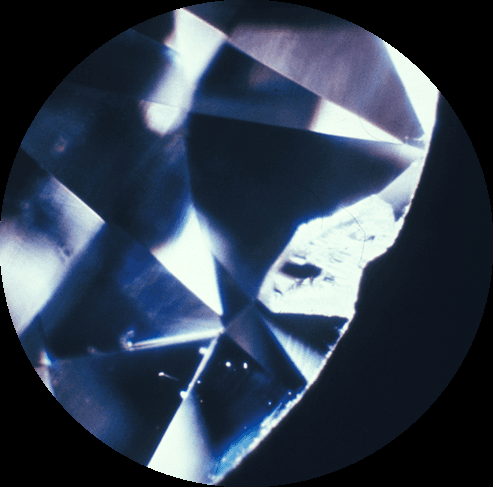 Feather inclusion under magnification