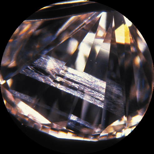 Needle inclusion under magnification