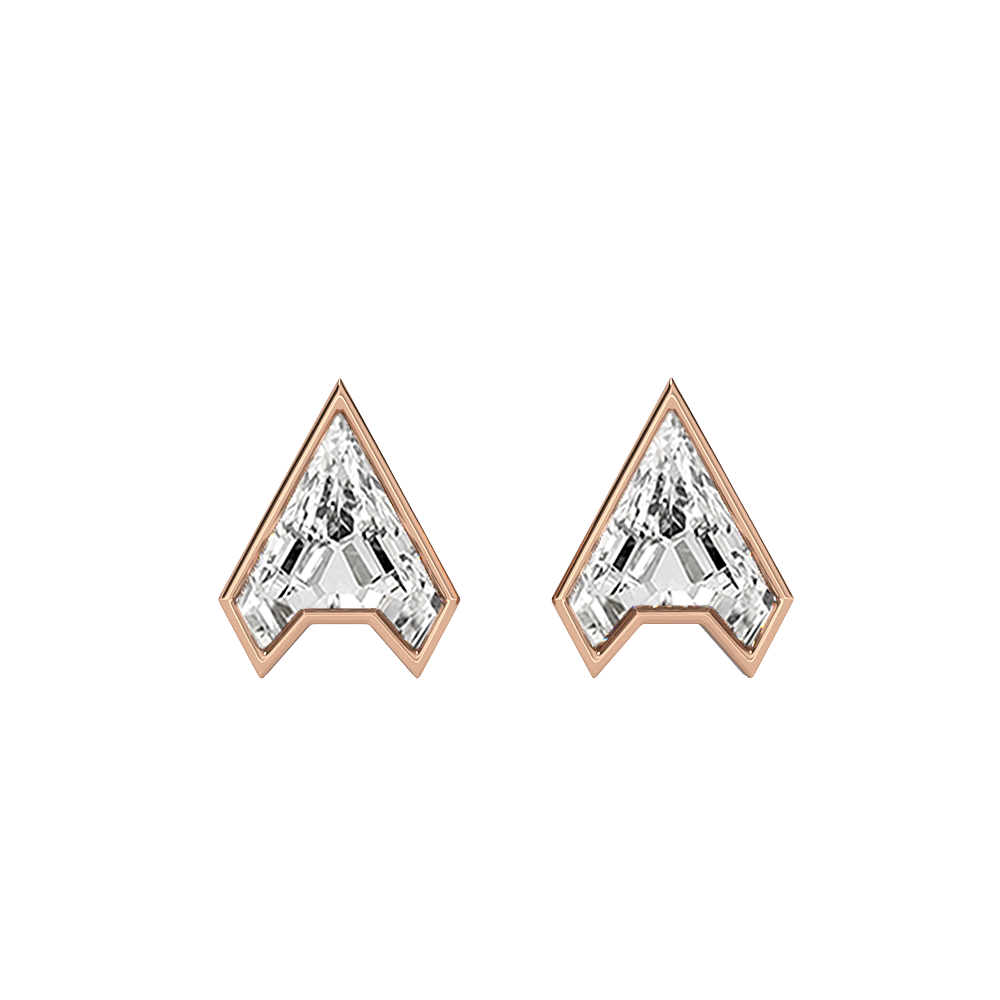 Stud Earrings