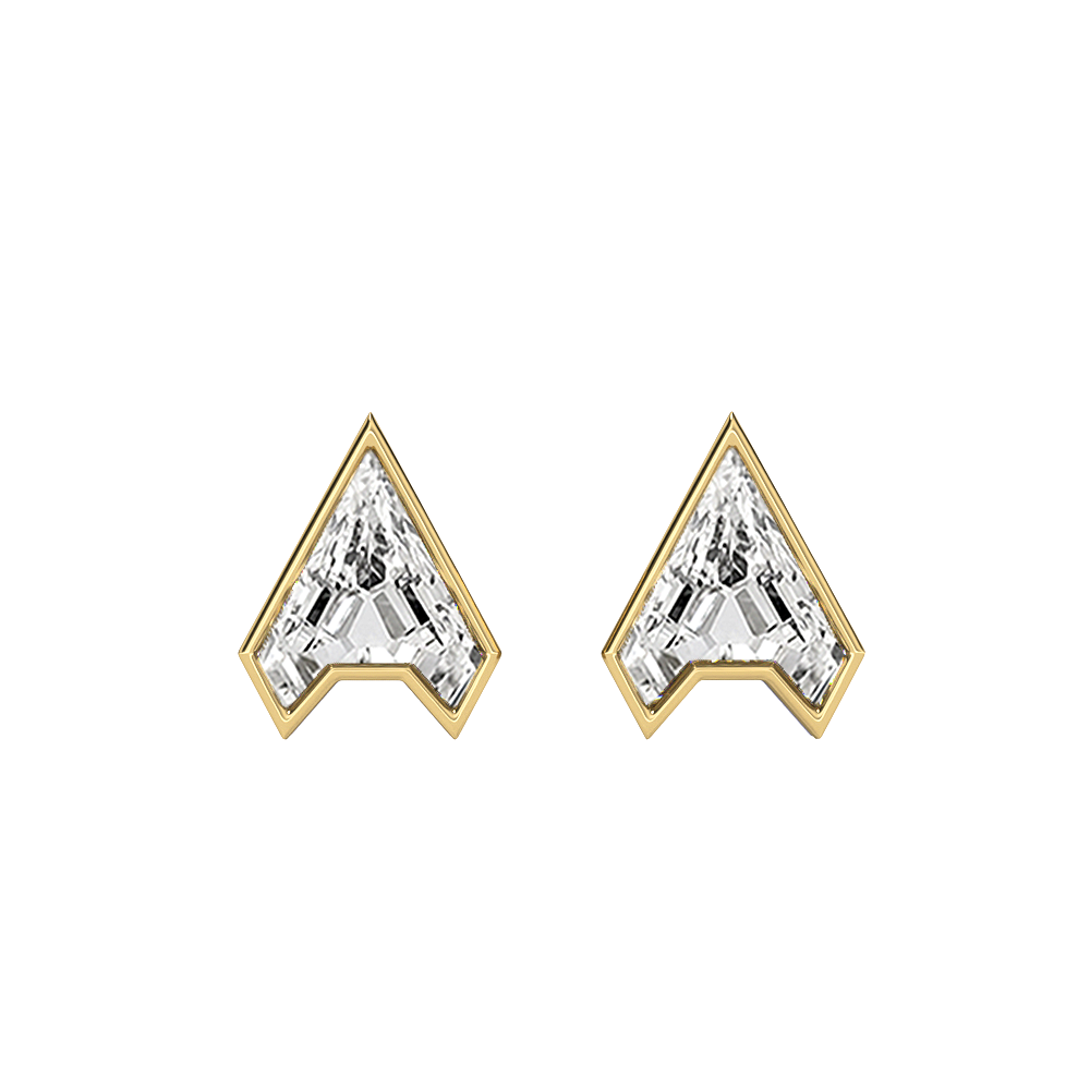 Stud Earrings